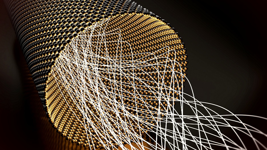 Closeup on a graphene tube transporting light