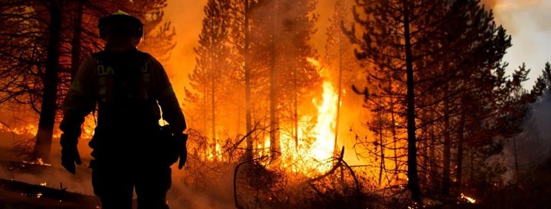 El riesgo con perspectiva: los incendios de 2025