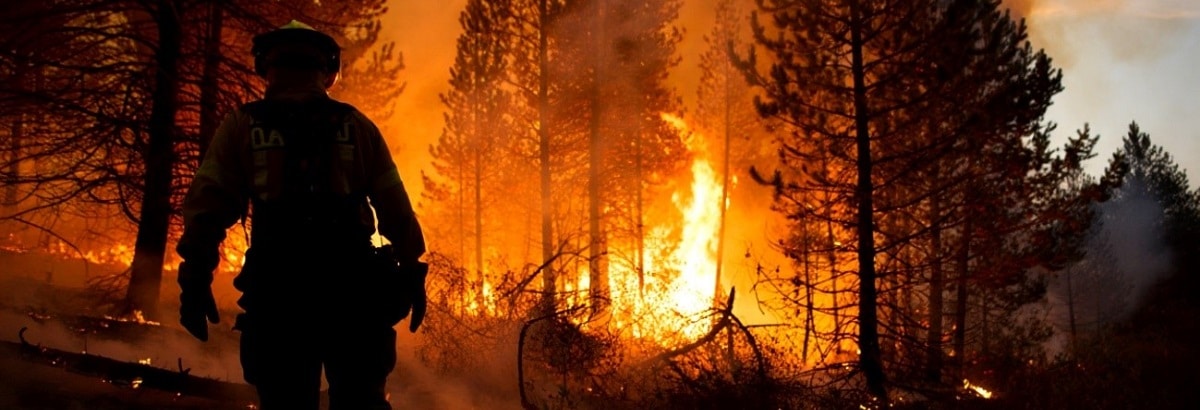 articulo Incendios_1200x410