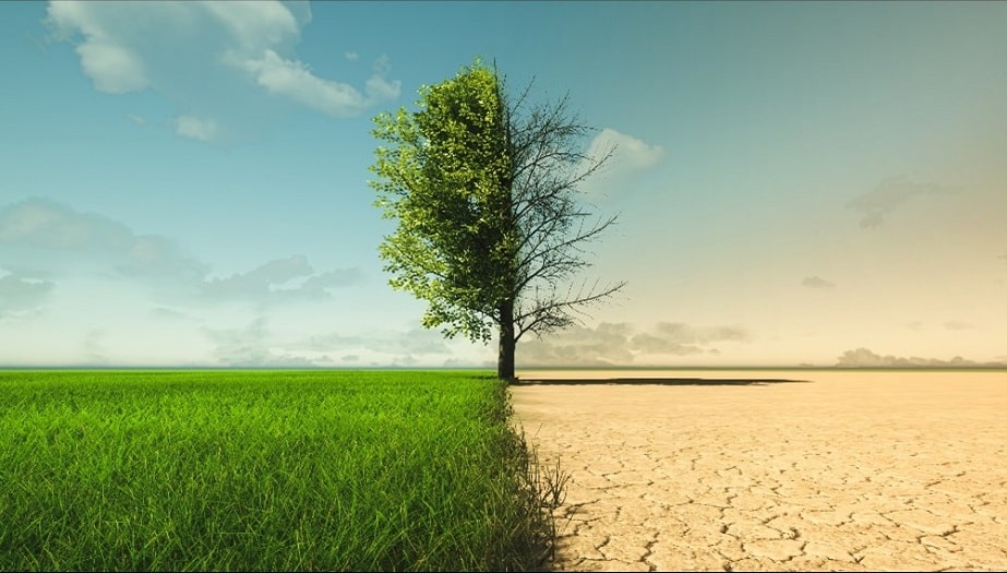 O setor segurador na transição energética