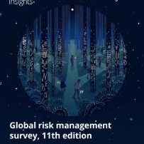 global-risks-management-survey