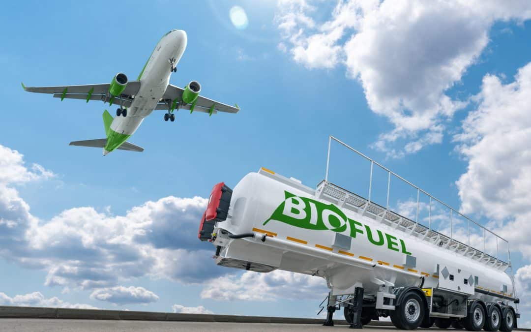 Biojet: hacia una aviación sostenible